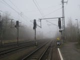 2024_03_03-10_11_44.jpg