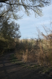 2026_04_03-17_48_27.jpg