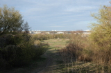 2026_04_03-17_50_18.jpg