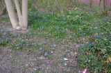 2026_04_03-18_09_49.jpg