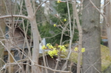 2026_04_12-10_01_02.jpg