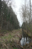 2026_04_12-10_25_42.jpg