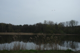 2026_04_12-11_59_28.jpg