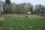 2026_04_12-12_25_53.jpg