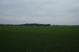 2026_04_12-14_00_00.jpg