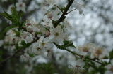 2026_04_12-14_01_04.jpg