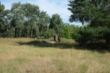 2026_08_02-09_26_10.jpg