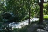 2026_08_09-11_53_01.jpg