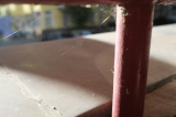 2026_08_12-08_01_13.jpg