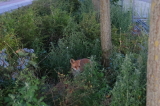 2026_08_12-21_01_06.jpg