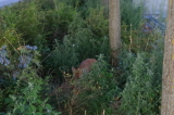 2026_08_12-21_01_07.jpg