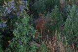 2026_08_12-21_01_10.jpg