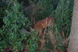 2026_08_12-21_01_13.jpg