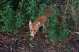 2026_08_12-21_01_15.jpg