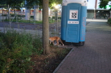 2026_08_12-21_01_28.jpg