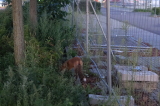 2026_08_12-21_01_41.jpg