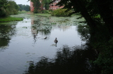 2026_08_16-10_33_41.jpg