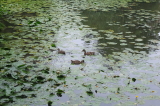 2026_08_16-10_34_19.jpg