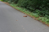 2026_08_23-12_13_47.jpg