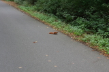 2026_08_23-12_13_48.jpg