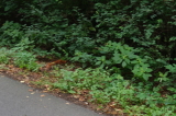 2026_08_23-12_13_56.jpg