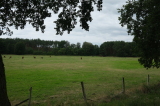 2026_08_23-13_09_16.jpg