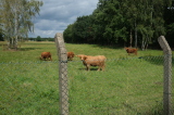 2026_08_23-13_49_35.jpg