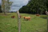 2026_08_23-13_49_37.jpg
