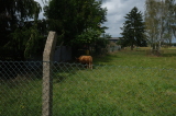 2026_08_23-13_49_41.jpg