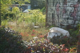 2026_09_26-14_50_00.jpg