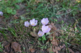2026_09_26-14_59_17.jpg