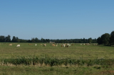 2026_09_27-13_17_55.jpg