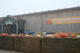 2026_10_04-10_11_54.jpg