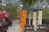 2026_10_04-10_25_31.jpg