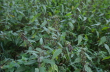 2026_10_11-10_05_36.jpg