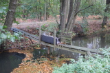 2026_10_11-10_18_49.jpg