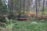 2026_10_11-10_26_22.jpg