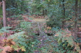 2026_10_11-10_26_36.jpg