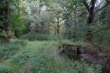 2026_10_11-10_47_10.jpg