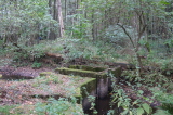 2026_10_11-10_55_06.jpg