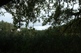 2026_10_11-11_24_11.jpg