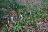 2026_10_11-12_53_01.jpg