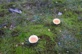 2026_10_11-13_14_20.jpg