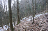 2026_03_23-08_54_40.jpg