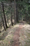2026_03_23-10_46_27.jpg