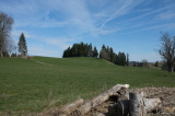 2026_03_25-10_17_38.jpg