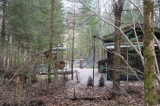 2026_03_25-11_19_59.jpg