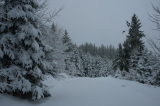 2026_03_26-09_39_50.jpg