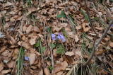 2026_03_24-09_16_29.jpg