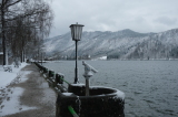 2026_03_26-15_13_16.jpg